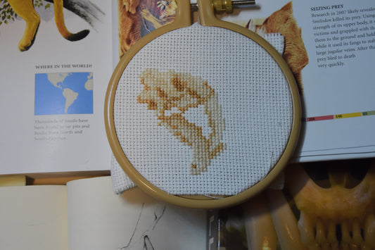 Saber-Toothed Cat Skull (Smilodon)