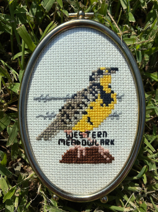 Western Meadowlark PDF