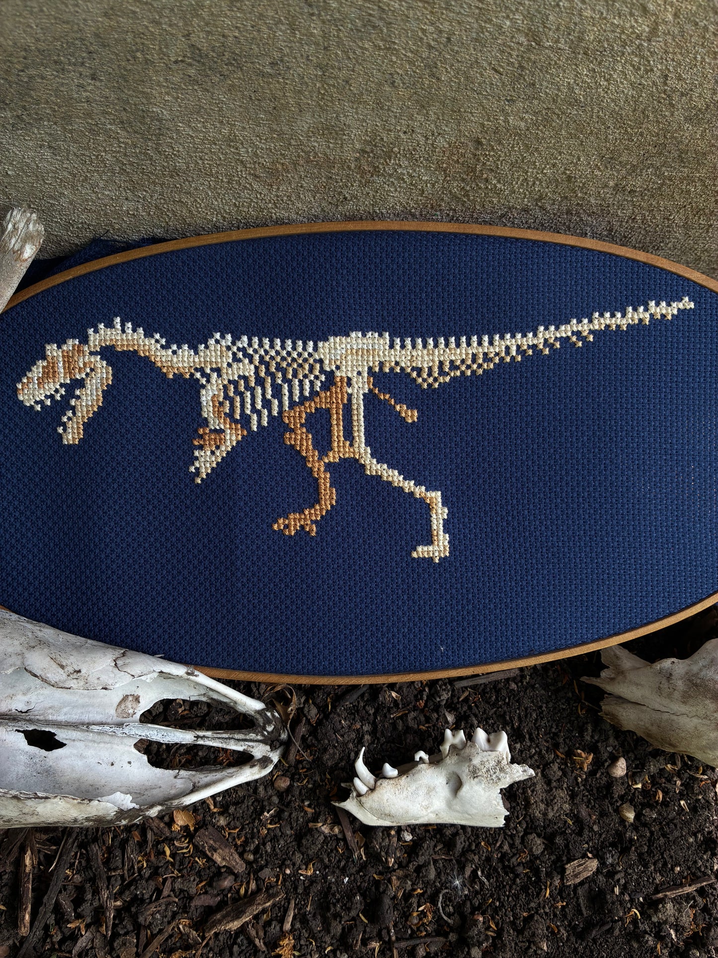 Allosaurus Skeleton (Allosaurus fragilis)