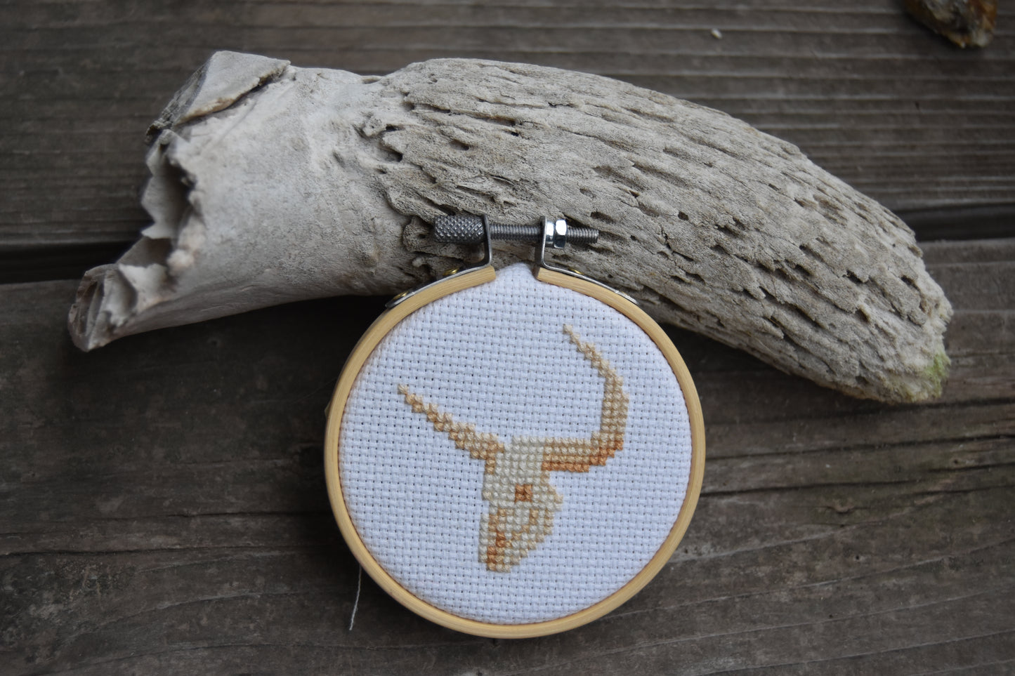 Giant Bison (Bison latifrons)