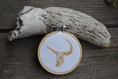 Giant Bison (Bison latifrons)