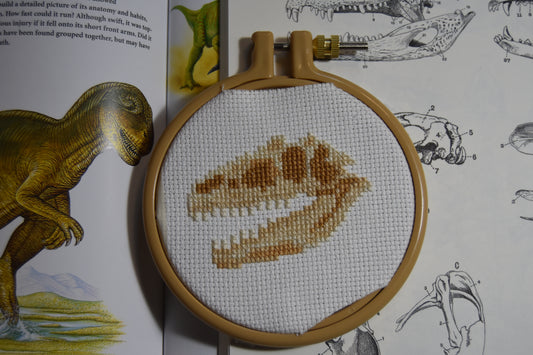 Allosaurus Skull (Allosaurus fragilis)