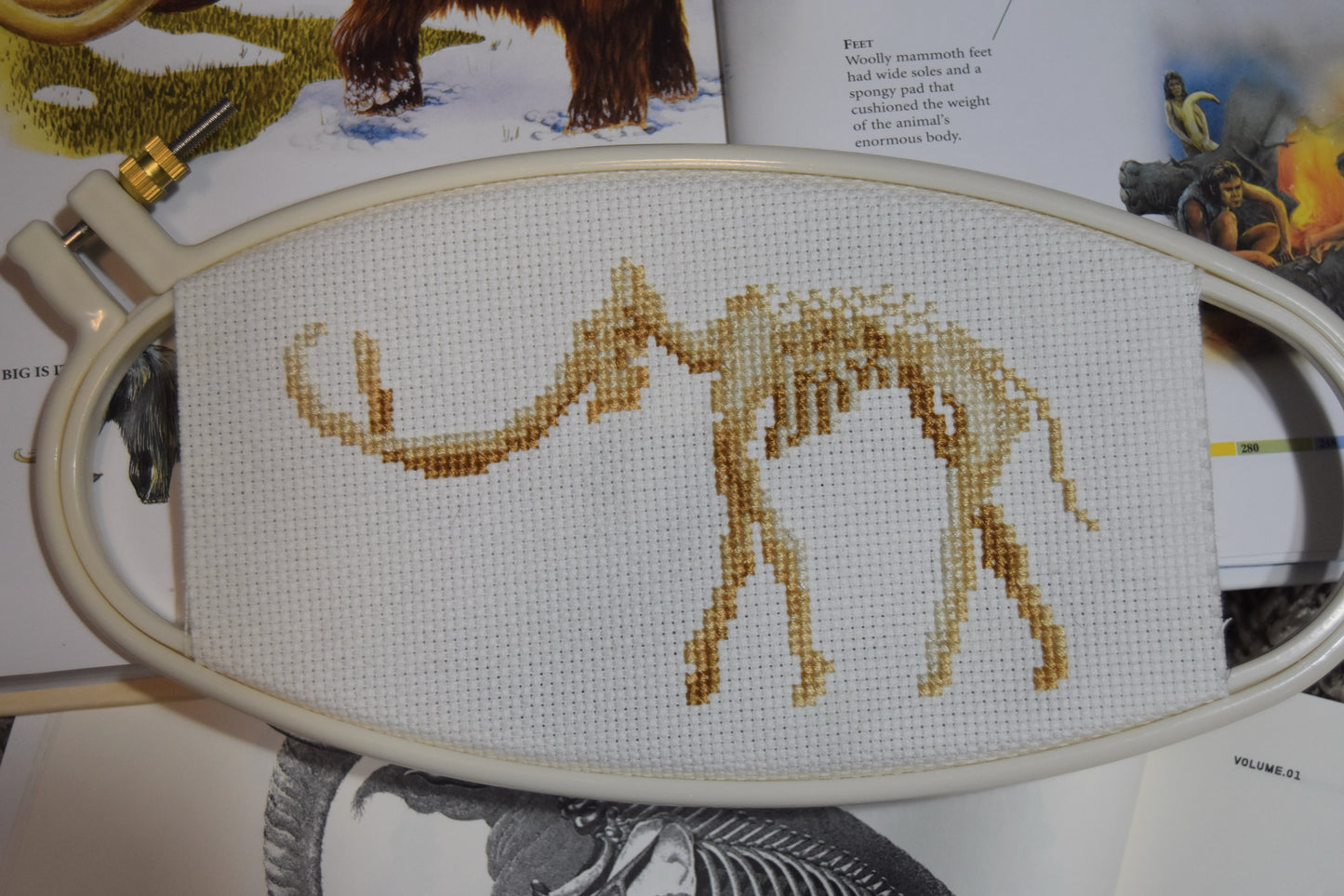 Columbian Mammoth Skeleton (Mammuthus columbi)