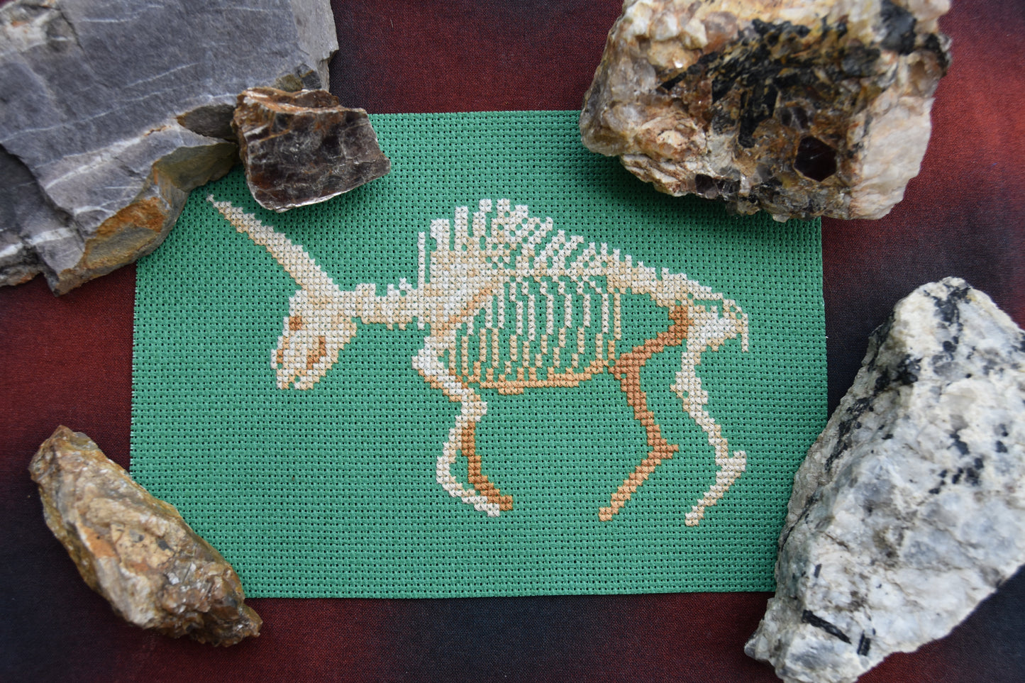 Giant Bison Skeleton (Bison latifrons)