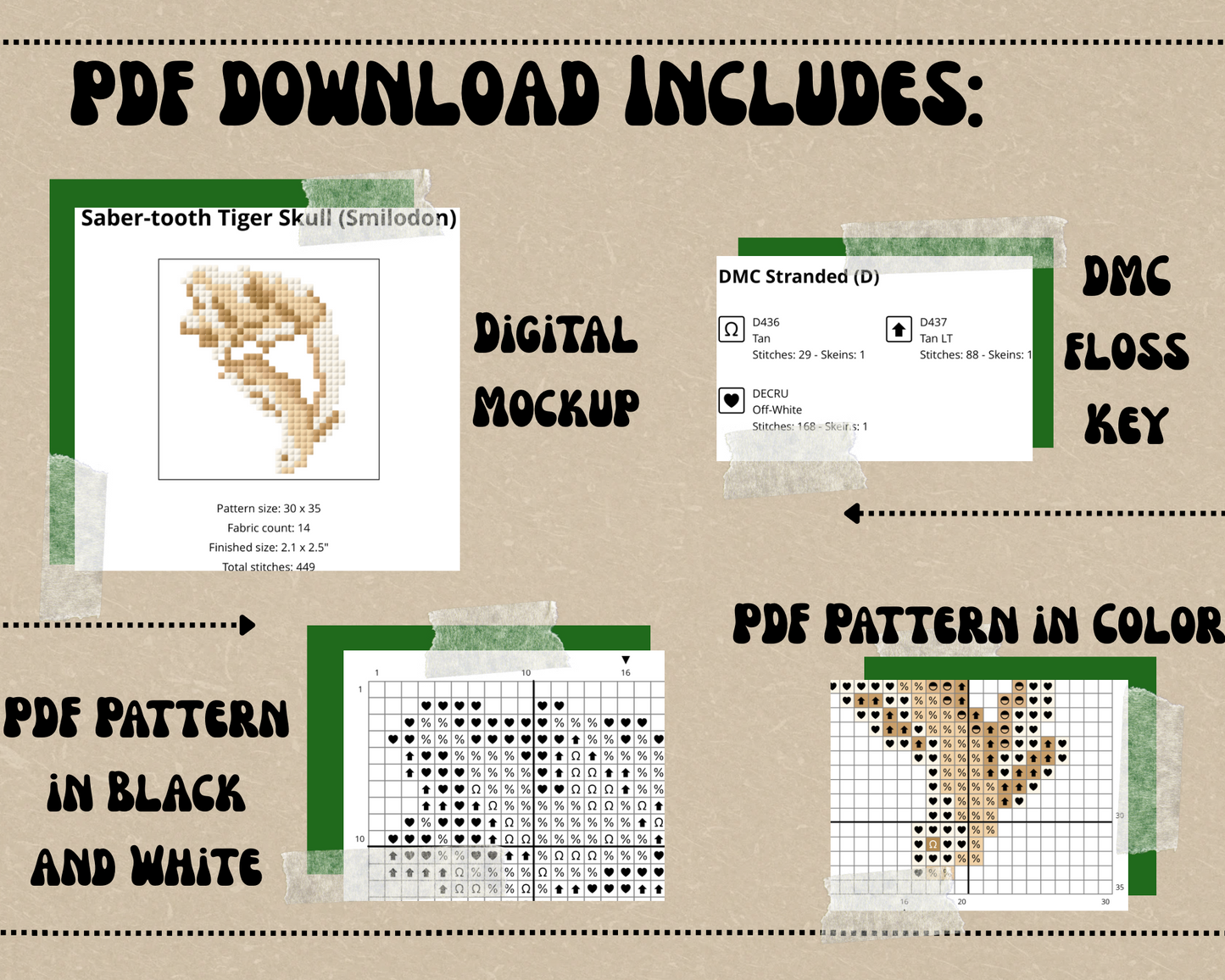 Columbian Mammoth Skeleton (Mammuthus columbi)