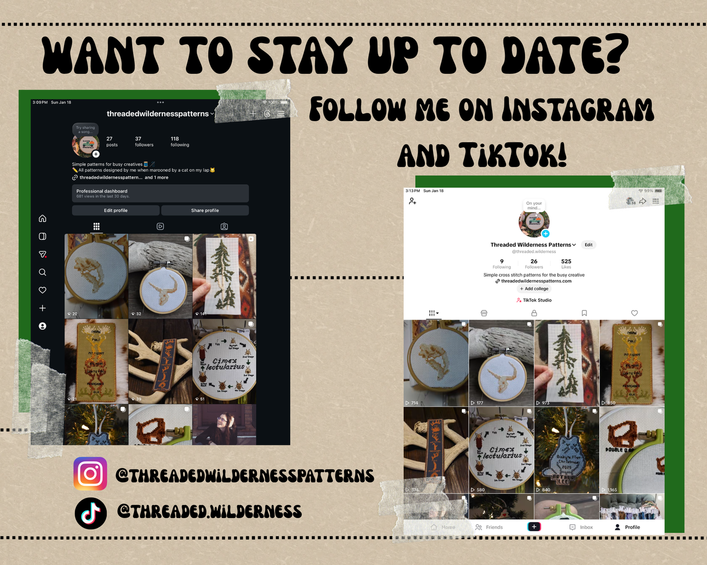 Columbian Mammoth Skeleton (Mammuthus columbi)