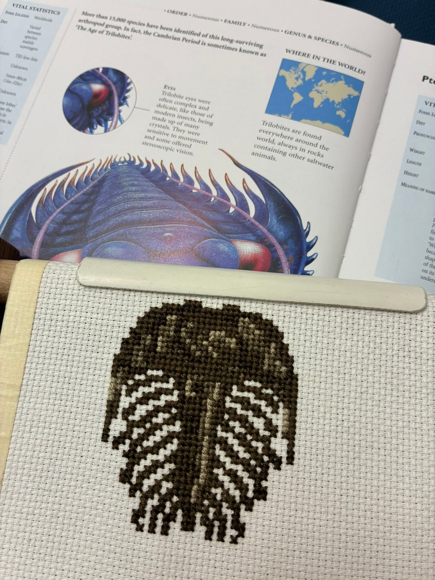 Trilobite
