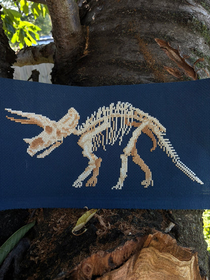 Triceratops Skeleton Kit