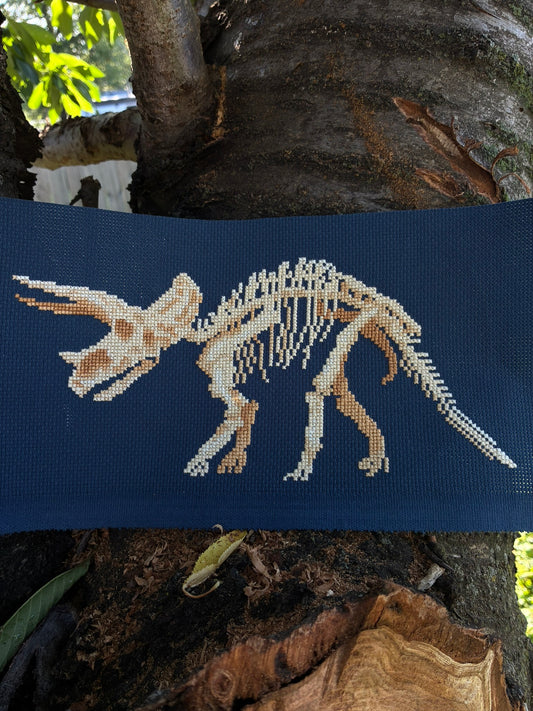 Triceratops Skeleton (Kit)