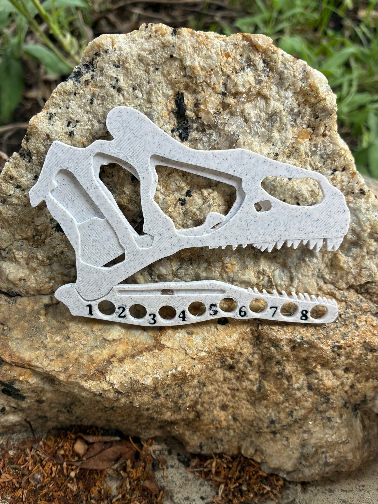 Triceratops Skull Kit