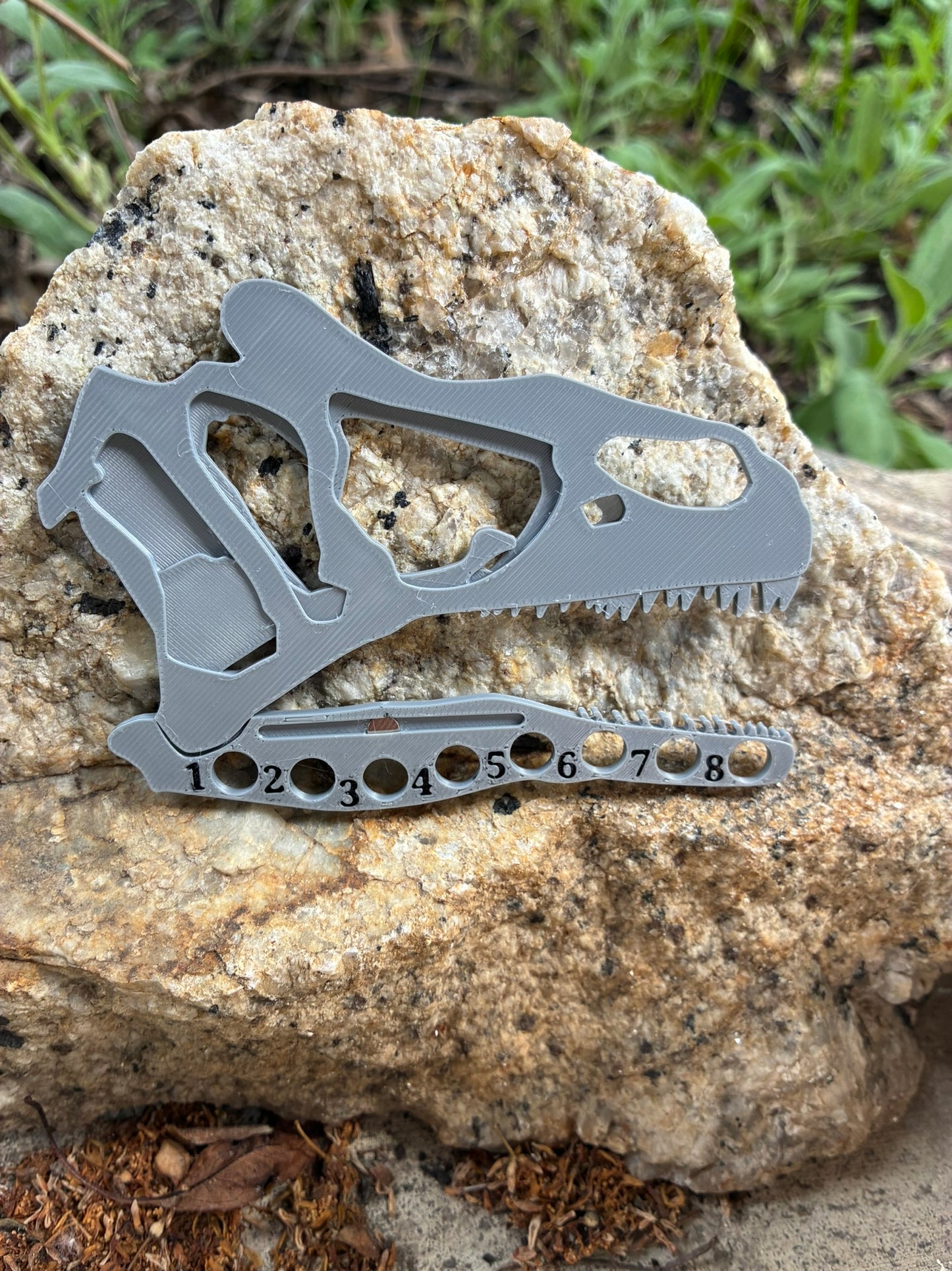 Triceratops Skeleton Kit