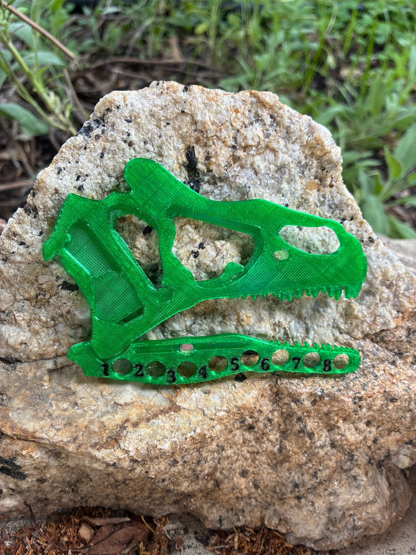 Triceratops Skeleton Kit