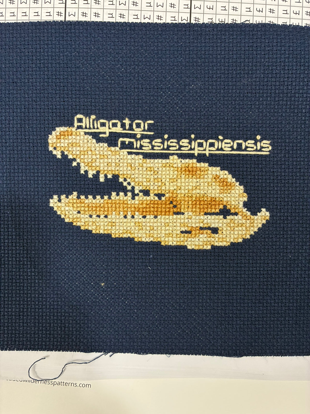 American Alligator Skull PDF