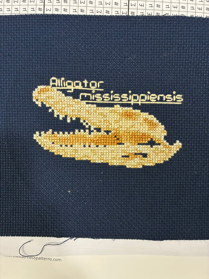 American Alligator Skull PDF