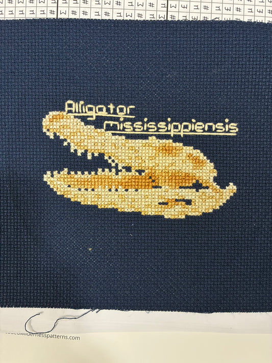 American Alligator Skull PDF