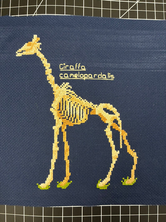 Giraffe Skeleton PDF